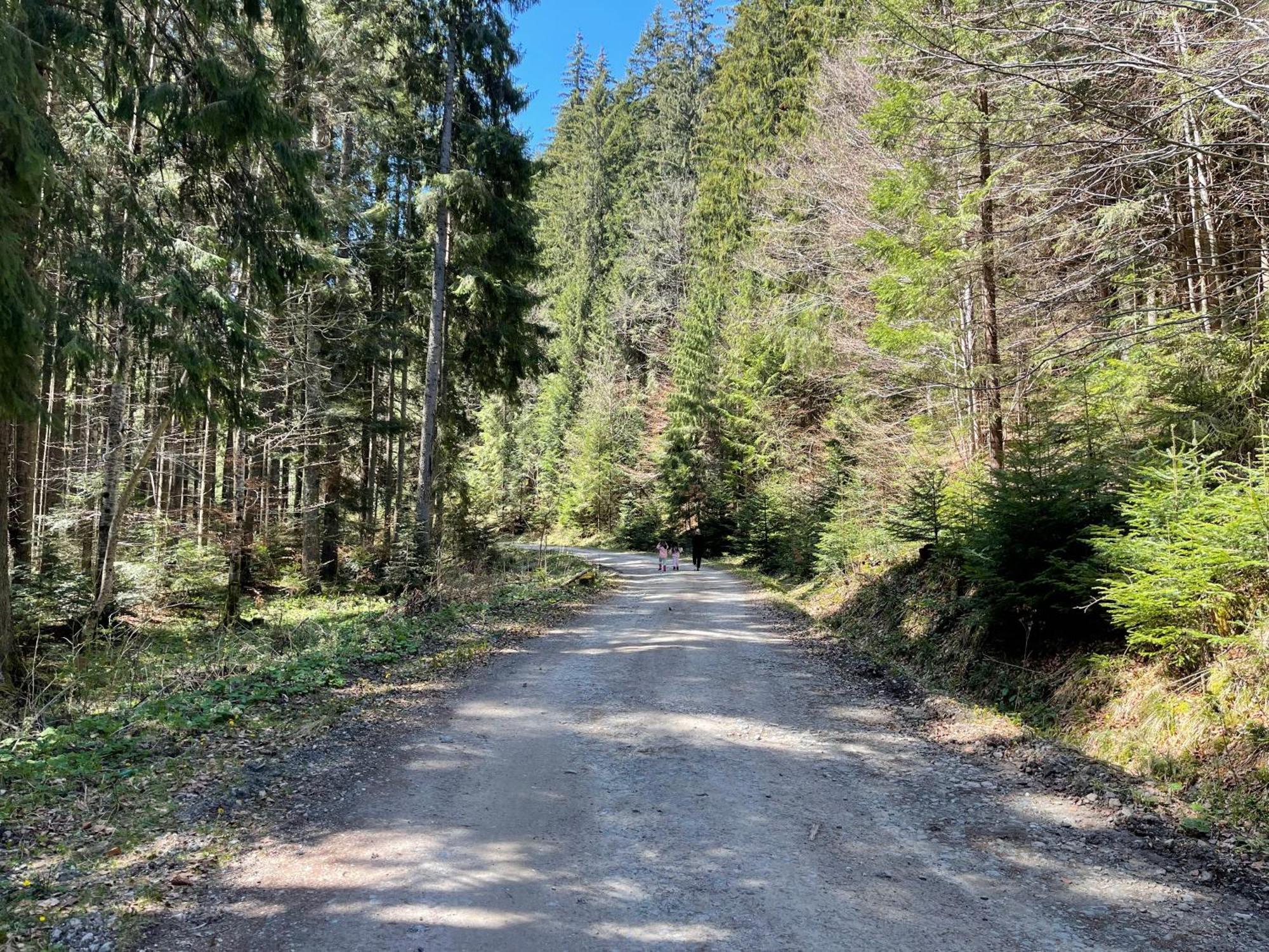 Tarcau Kub Villa Cazaci Eksteriør billede