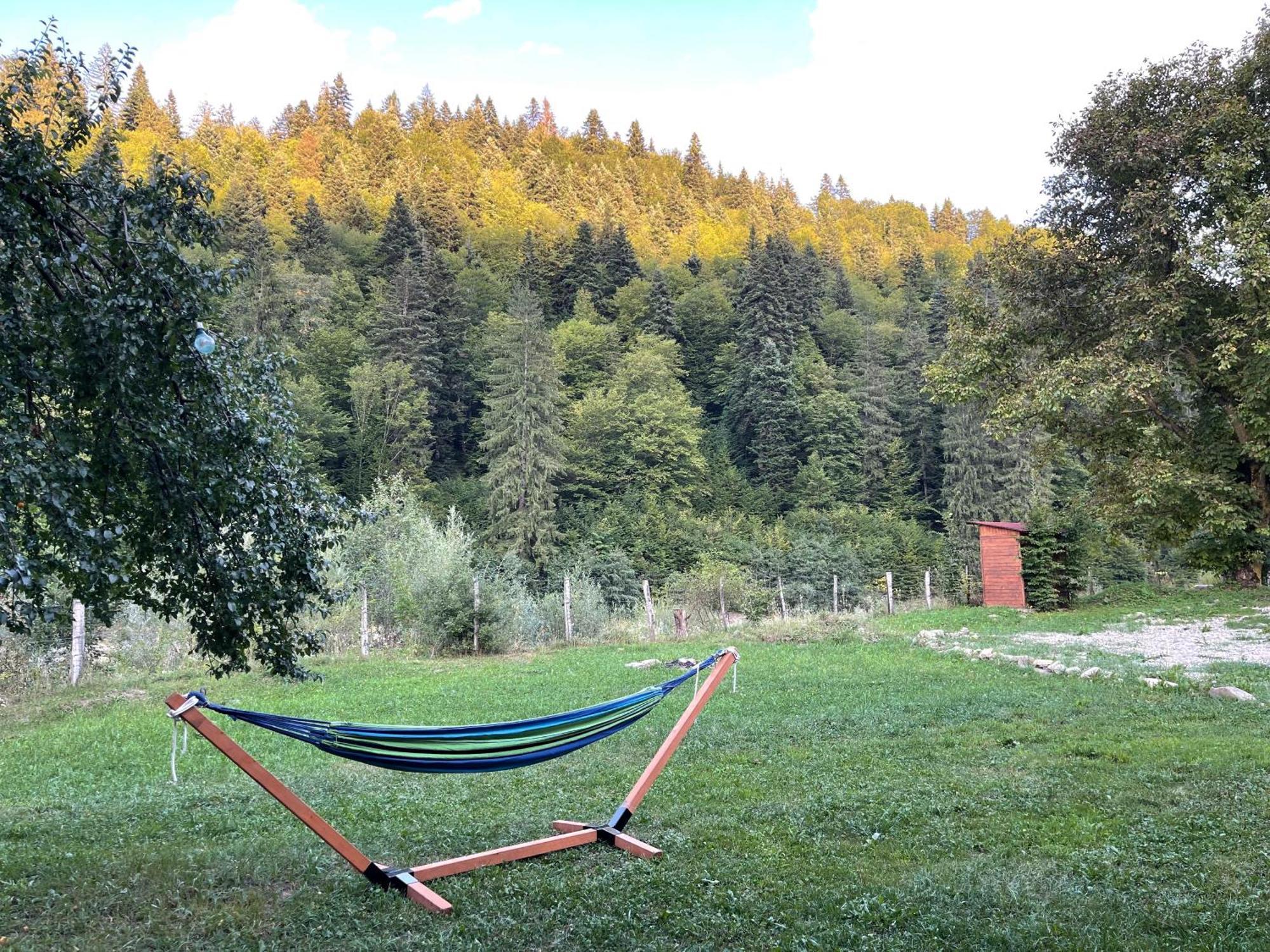 Tarcau Kub Villa Cazaci Eksteriør billede